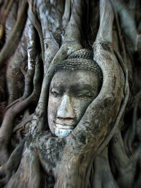 Somjai Place Ayutthaya מראה חיצוני תמונה